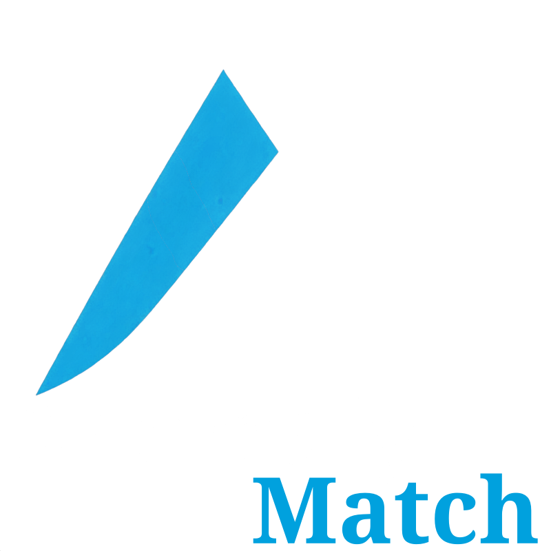 AnomalyMatch