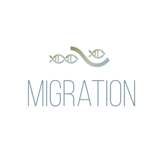 _images/migration.png